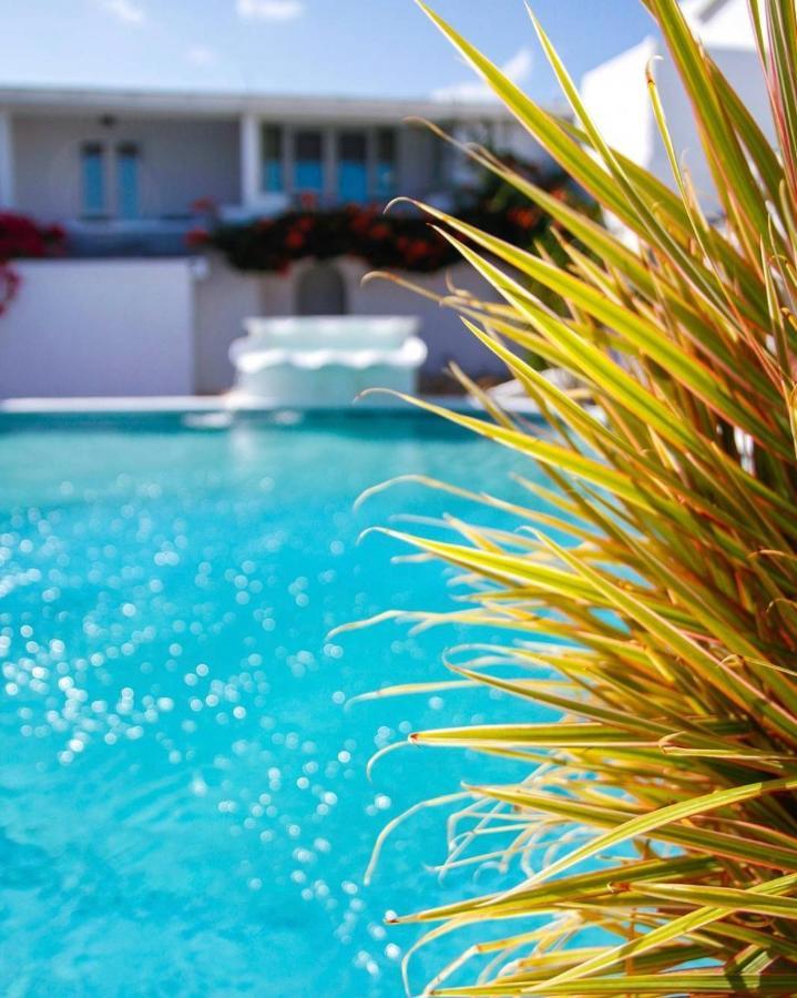 Trade Winds Hotel Dickenson Bay Esterno foto