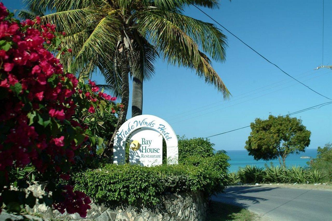 Trade Winds Hotel Dickenson Bay Esterno foto