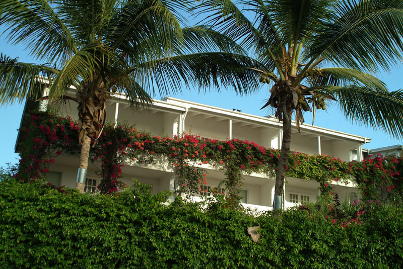 Trade Winds Hotel Dickenson Bay Esterno foto