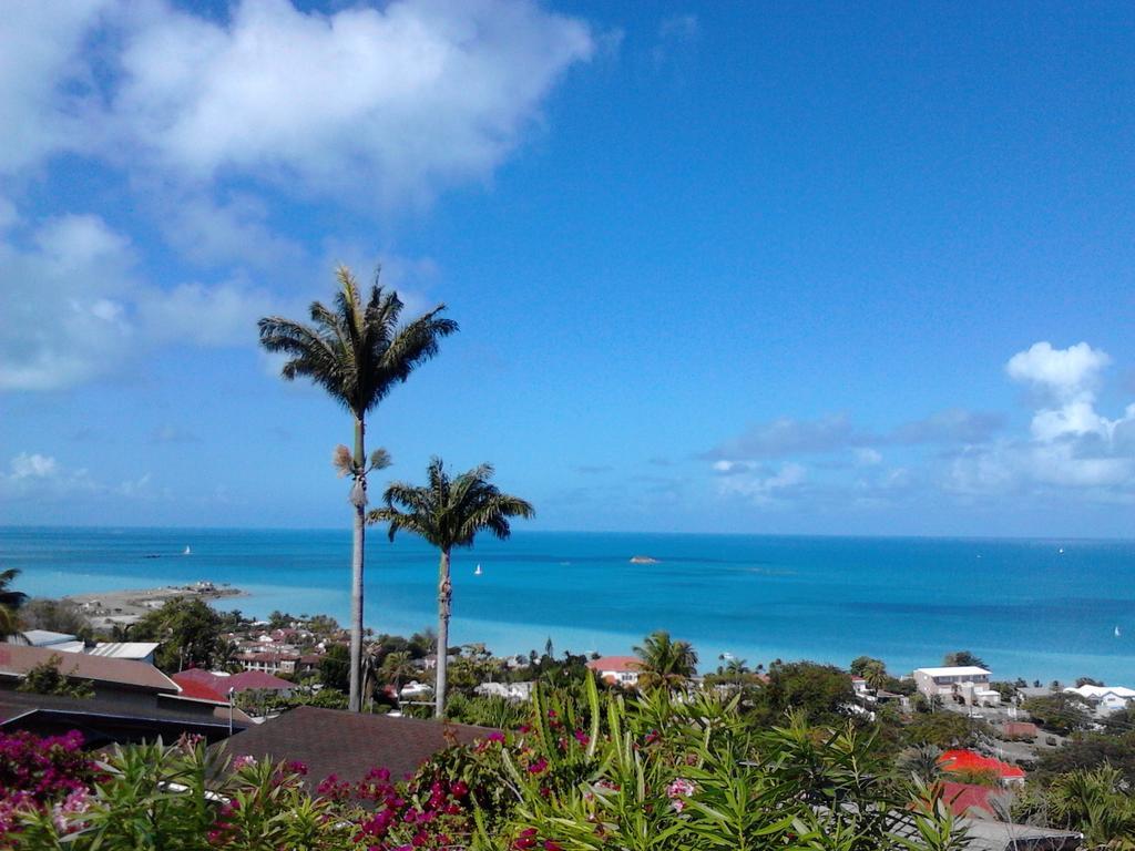 Trade Winds Hotel Dickenson Bay Esterno foto