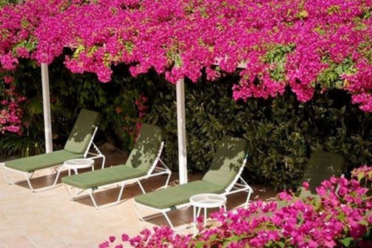 Trade Winds Hotel Dickenson Bay Esterno foto