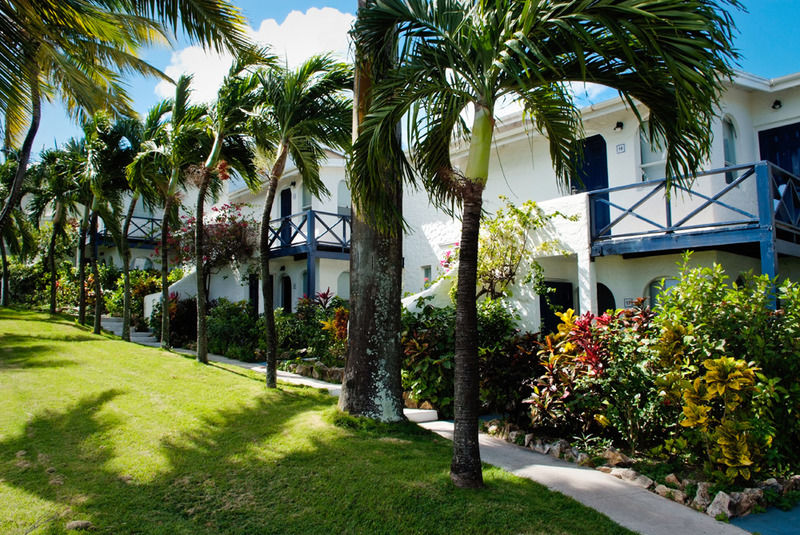 Trade Winds Hotel Dickenson Bay Esterno foto