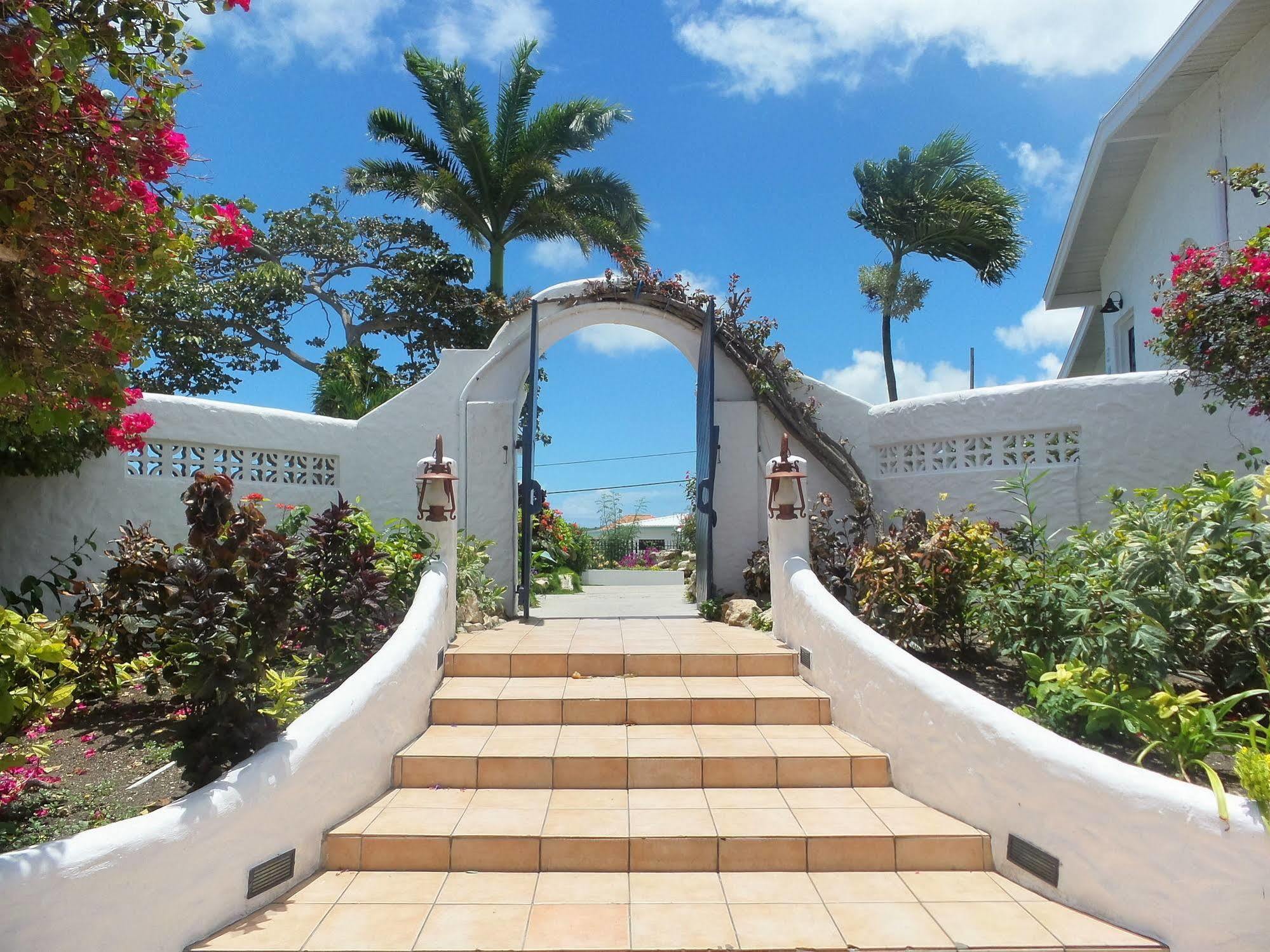 Trade Winds Hotel Dickenson Bay Esterno foto