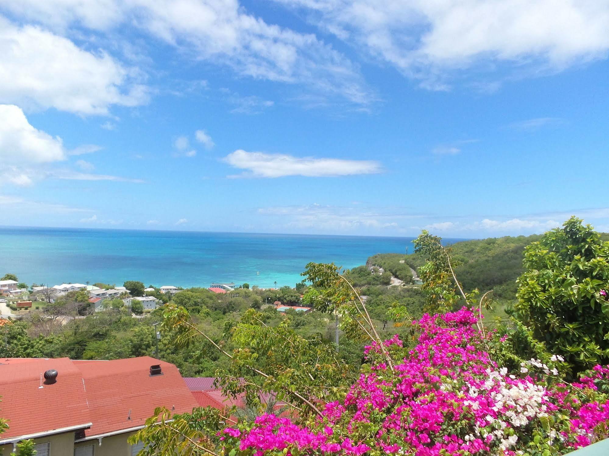 Trade Winds Hotel Dickenson Bay Esterno foto